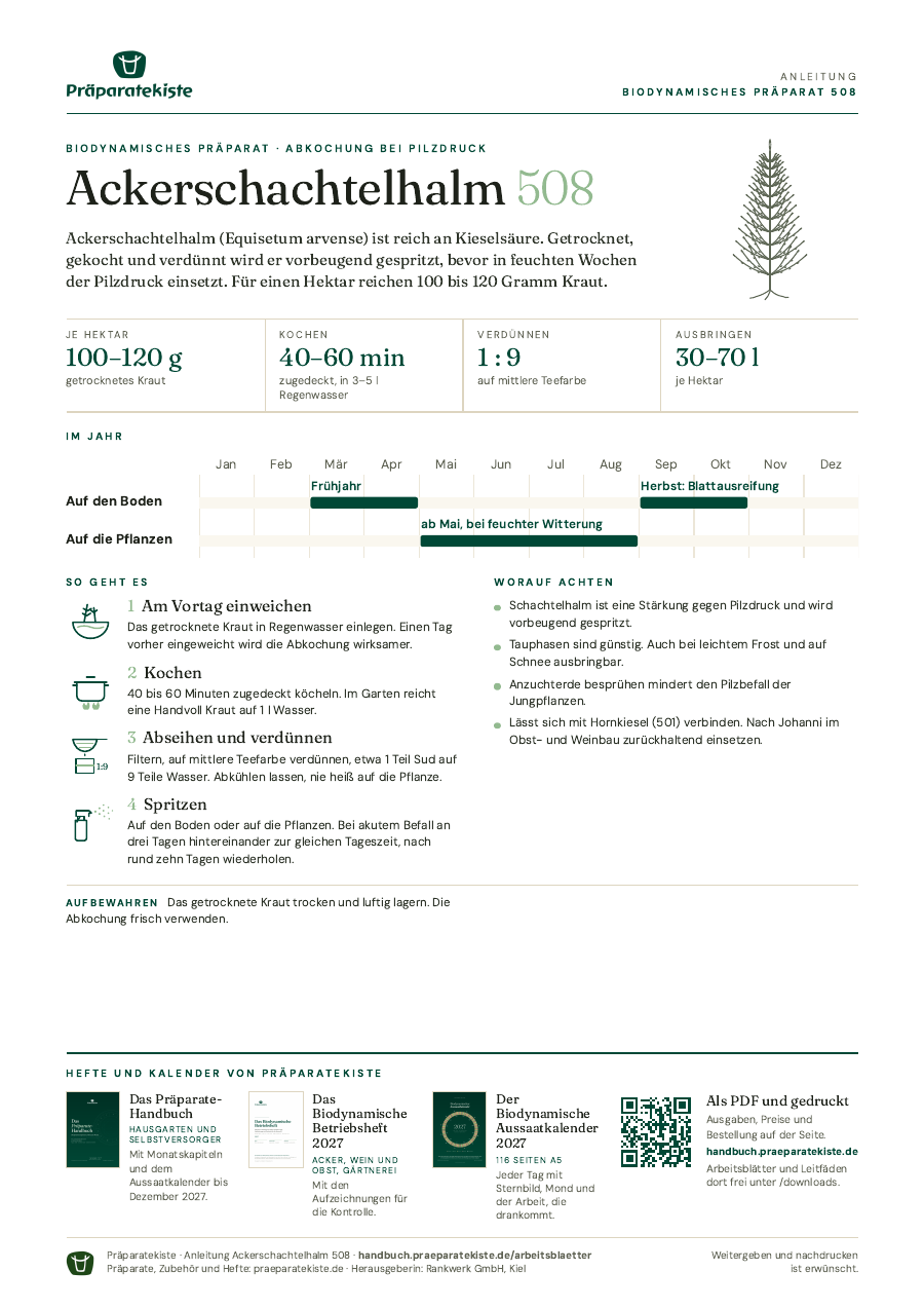 Vorschau des Arbeitsblatts Ackerschachtelhalm 508