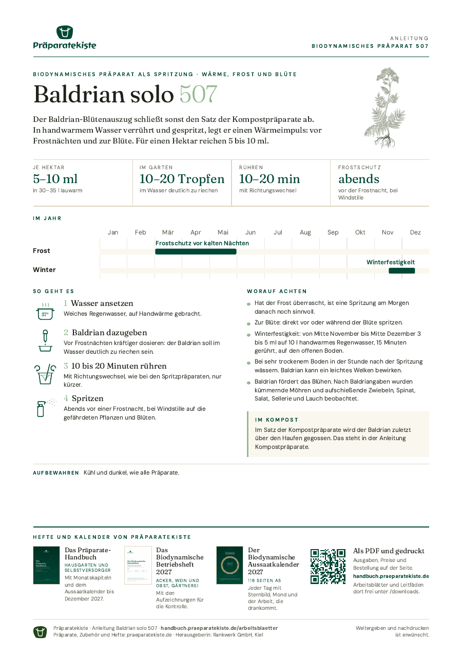 Vorschau des Arbeitsblatts Baldrian solo 507