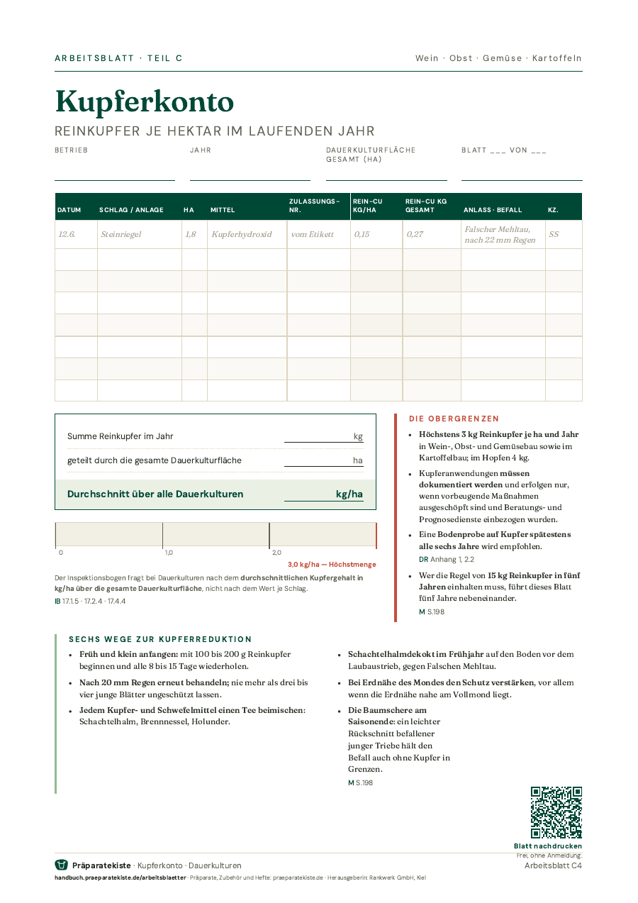 Titelseite: Kupferkonto