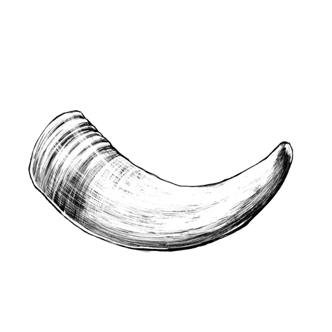 Hornmist