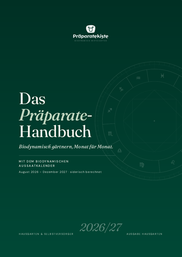 Leseprobe: Cover